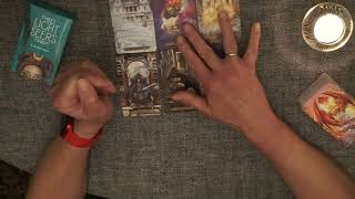 Tarot Byk Luty 2024 roku Tarot Thelema [upl. by Rfinnej]