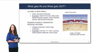 Cell Physiology Plasma Membrane [upl. by Naujled]