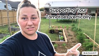 Growing Tomatoes Vertically Tips for Continuous Support and Care [upl. by Aniratak108]