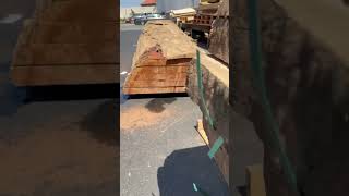 New shipment of Sapele wood slabs woodworking [upl. by Kcirtapnaes467]