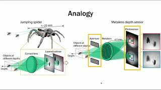 45 Compact single shot metalens depth sensor inspired by eyes of jumping spiders Demo [upl. by Eah]