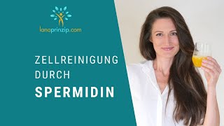 Langlebigkeitsforschung Spermidin als AutophagieBooster Anwendung und Wirkung von Spermidin [upl. by Albertine384]