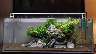 Tropikal Bitkili Akvaryum  Tropical Planted Aquarium [upl. by Cortney]