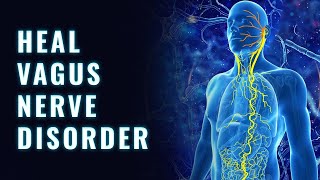 Repair Vagus Nerve Damage  Powerful Vagal Tone  Brain Fog Treatment amp Normalize Heart Beat 528 Hz [upl. by Assilana]