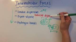 Intermolecular Forces [upl. by Cloris]