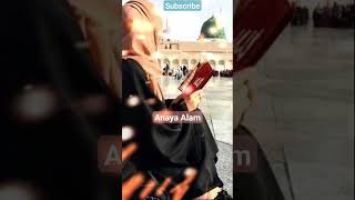 Nabi Ke Shehar Mein Jaaun beautiful naat status by me shorts naat viral trending shortsfeed [upl. by Gabor]