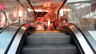 Schindler escalators in shopping mall [upl. by Bryan935]