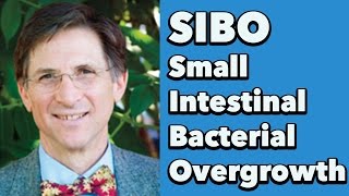 Small Intestinal Bacterial Overgrowth SIBO w Dr Steven SandbergLewis [upl. by Atihcnoc]