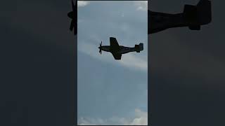 Epic P51 Mustang Low Flybys Gathering of Warbirds [upl. by Stafford]