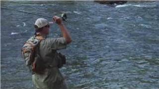 Trout Fishing  How to Choose Fishing Hooks for Trout Fishing [upl. by Almita]