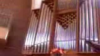 Pipe Organ Solo  Now Thank We All Our God [upl. by Anihsak450]