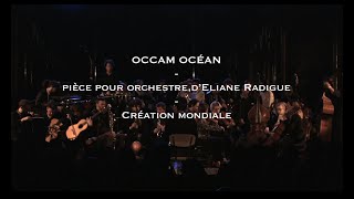 Eliane RADIGUE  OCCAM OCEAN  ONCEIM excerpt [upl. by Nolubez]