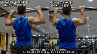 Why Pull Ups Hurt Your Elbows [upl. by Elaynad2]