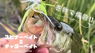 【スピナーベイトとチャターで爆釣‼︎】状況変化を見極める【秋のバス釣り】［fishing in Japan］ [upl. by Shayn]