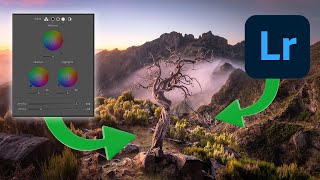 Using Lightroom to make YOUR photos STAND OUT [upl. by Neddie]