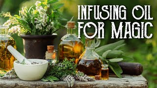 Making Magical Herbal Infusions for Spell Work and Witchcraft  How to infuse oil  Magical Crafting [upl. by Peckham]