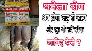 पशुओं के थेनेला रोग का पक्का इलाज़ ऐसे करेंanimals mastitis treatment mastahepl pouches। [upl. by Savanna875]