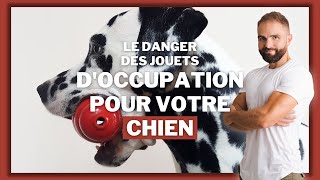 Le danger des jouets doccupation pour chien [upl. by Cull]