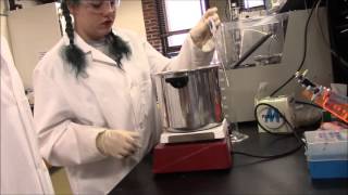 Enzymatic Hydrolysis Instructional Video [upl. by Lorsung]