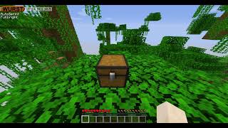 MINECRAFT 1165 DUPE WORKING Wurst Client [upl. by Let]