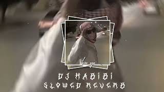 DJ HABIBI VIRAL TIK TOK Slowed reverb [upl. by Caraviello]