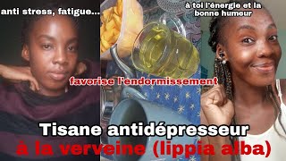 DIY Thé antidépresseur naturel au Verveine contre le stress la fatigue linsomnie [upl. by Mariel872]