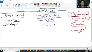 Lecture 15  Carbohydrates Chemistry 1  Dr  Mahmoud Yousef [upl. by Notserc612]