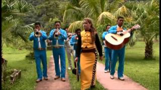 A CRISTO LE VOY 2014 VIDEO OFICIAL BRENDA SOLIS [upl. by Warms]