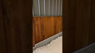 DIY barn wainscot finished turned out amazingshortvideo diy barn barndominium [upl. by Qidas861]