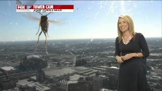 Bee attacks Meteorologist Jennifer Ketchmark during weather forecast [upl. by Woll]