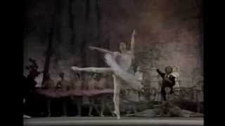 Tatyana Terekhova Dulcinea Variation [upl. by Ariela]