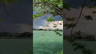 Beautiful natureshorts happy nature zubeedubeelife1845 [upl. by Ayrad]