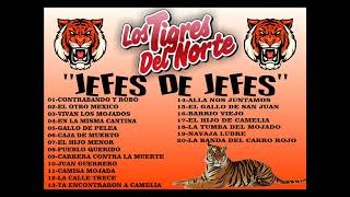 LOS TIGRES DEL NORTELOS JEFES DE JEFES [upl. by Reuven2]