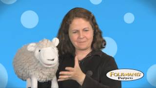 Bringing Your Puppets To Life  Puppetry for Educators Series [upl. by Gothard]