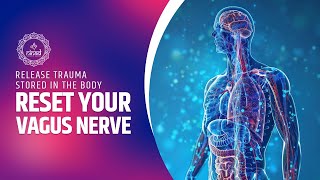 Reset Your Vagus Nerve  Release Trauma Stored In The Body  Destress Your Body  Vagal Tone [upl. by Ralston]