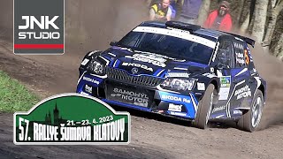 Best of 57 Rallye Šumava Klatovy 2023  1 etapa action amp mistakes [upl. by Philippine]