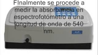 Azucares reductores método DNS [upl. by Filemon991]