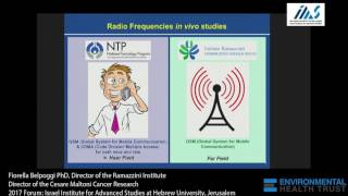 Ramazzini Institute Bioassays on Wireless Radiation Fiorella Belpoggi PhD [upl. by Qirat]