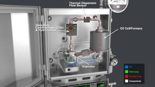 Ametek Thermox WDGV Sensor Flow Animation [upl. by Eenaj]