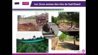 Résultats de 11 ans détude en Agroforesterie viticole par William Trambouze CA 34 [upl. by Solon936]