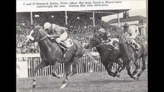 Music Boy wins 1975 Gimcrack Stakes [upl. by Anitsahs]