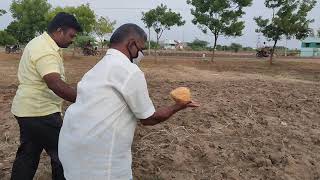 Finding ground water with coconut [upl. by Nuhsed]