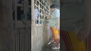 Nadale tayo ni katanggal video funny comedymove comedyfilms comedy comedyflim funnycomedy [upl. by Charron836]