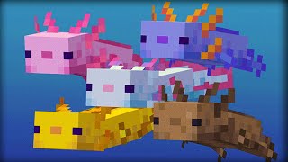 30 Things You Didnt Know About Axolotls in Minecraft [upl. by Granlund589]