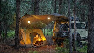 Coziest RAIN CAMPING in a Pine Forest  SOLO Relaxing in a Tent and Tarp shelter ASMR [upl. by Martainn83]