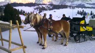 In slitta verso Ortisei Bz trainati dai cavalli [upl. by Elsey113]