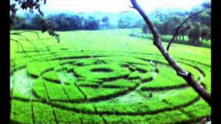 Indonesia crop circles  Sleman Yogyakarta  UFO [upl. by Lightfoot]