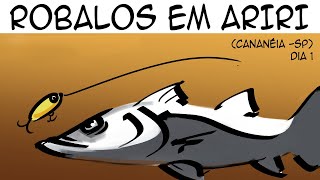 Pescaria de robalo em Ariri Cananéia  PARTE 1 [upl. by Eelana]