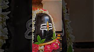 To Duare Heba Changu Mada  New Odia Bolbom Song 2024  mahadev shorts [upl. by Anon]