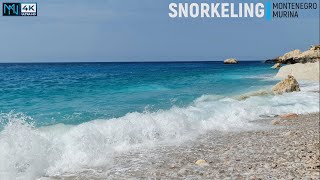 MONTENEGRO 🏝 SNORKELING 🤿 MURINA 🇲🇪 2024 4K📸60 [upl. by Broucek]